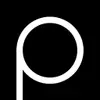 Polarr Copilot favicon