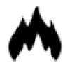 Qualifire favicon