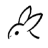 Run Rabbit AI favicon