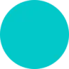 Shelf Engine favicon