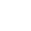 Shroud.email favicon