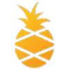 Smart Pineapple favicon