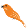 SmartBird favicon