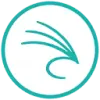 Snowfly favicon