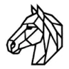 Sportily favicon