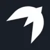 Startup Falcon favicon