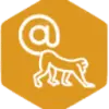 SummyMonkey favicon