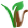 V-Nut favicon