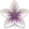 Vellum favicon