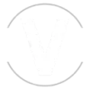 VINSI.AI favicon