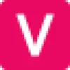 VisualX favicon