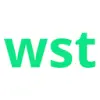 Website Setup Tools favicon