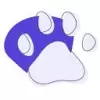 What Breed Is My Dog favicon